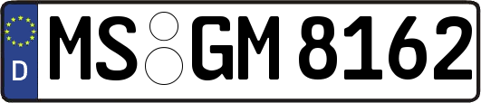 MS-GM8162