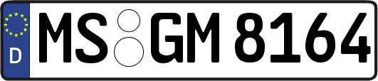 MS-GM8164