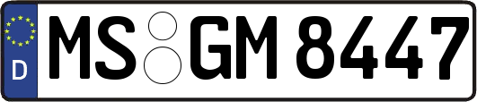 MS-GM8447