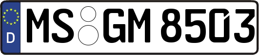 MS-GM8503