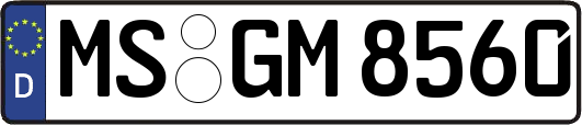 MS-GM8560
