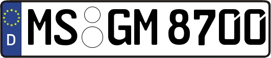 MS-GM8700