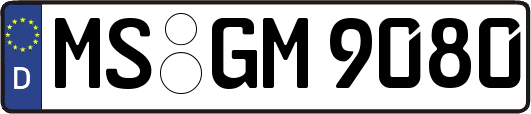 MS-GM9080