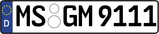 MS-GM9111