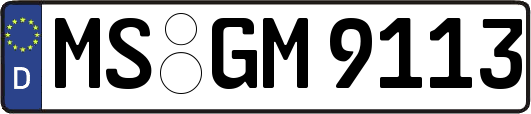 MS-GM9113