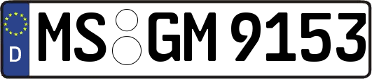 MS-GM9153