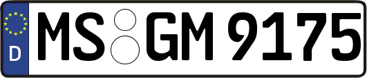 MS-GM9175