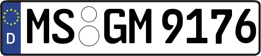MS-GM9176