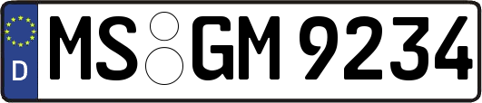 MS-GM9234
