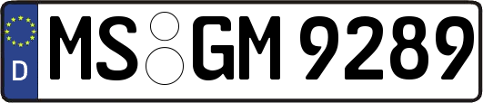MS-GM9289