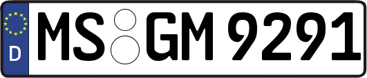 MS-GM9291