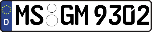 MS-GM9302