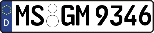 MS-GM9346