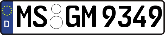 MS-GM9349