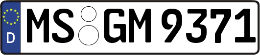 MS-GM9371