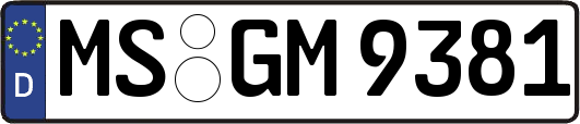MS-GM9381