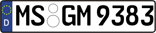 MS-GM9383