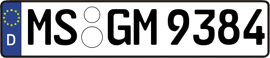 MS-GM9384