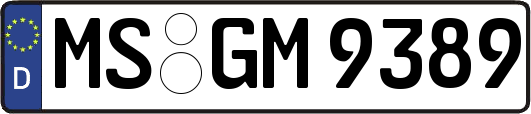 MS-GM9389