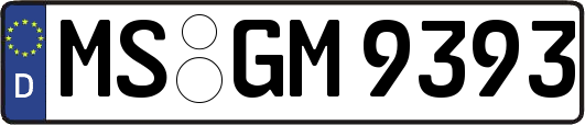 MS-GM9393