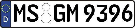 MS-GM9396