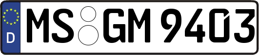 MS-GM9403