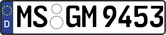 MS-GM9453