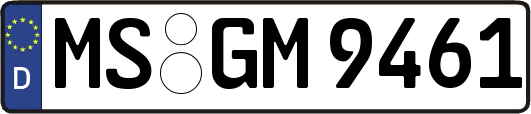 MS-GM9461
