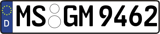 MS-GM9462