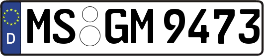 MS-GM9473
