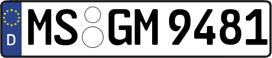 MS-GM9481