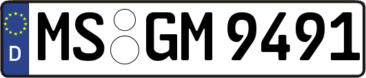 MS-GM9491