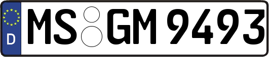 MS-GM9493