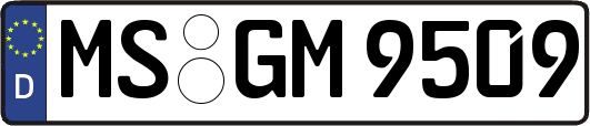 MS-GM9509