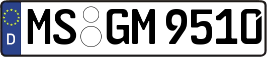 MS-GM9510
