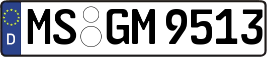 MS-GM9513