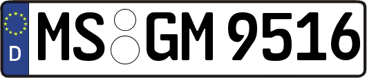 MS-GM9516