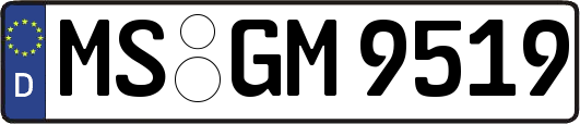 MS-GM9519
