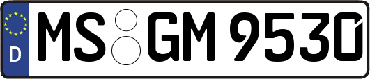 MS-GM9530