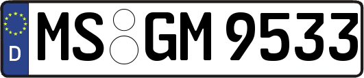 MS-GM9533
