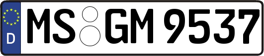 MS-GM9537
