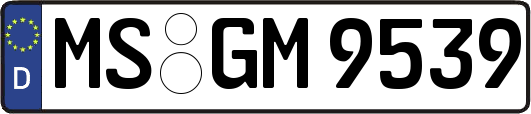 MS-GM9539