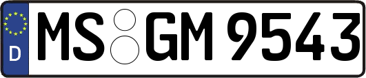 MS-GM9543