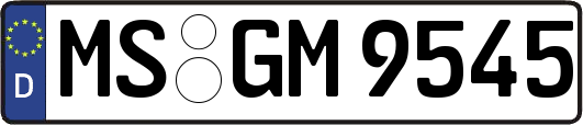 MS-GM9545