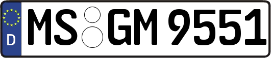 MS-GM9551