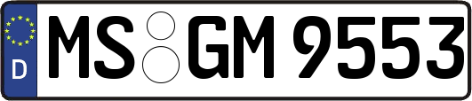MS-GM9553