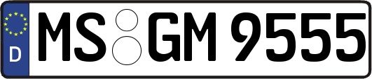 MS-GM9555