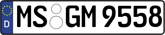 MS-GM9558