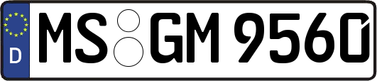 MS-GM9560