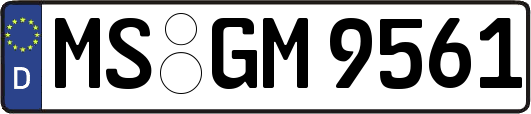 MS-GM9561